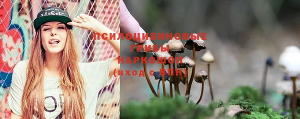 spice Балабаново