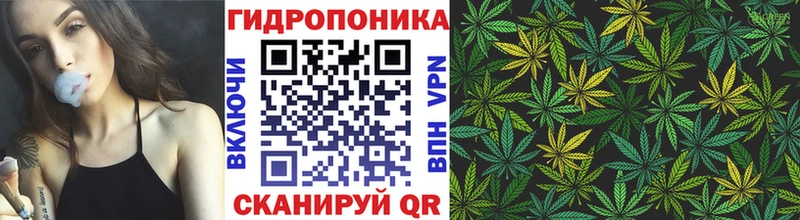 Каннабис SATIVA & INDICA  Новое Девяткино 